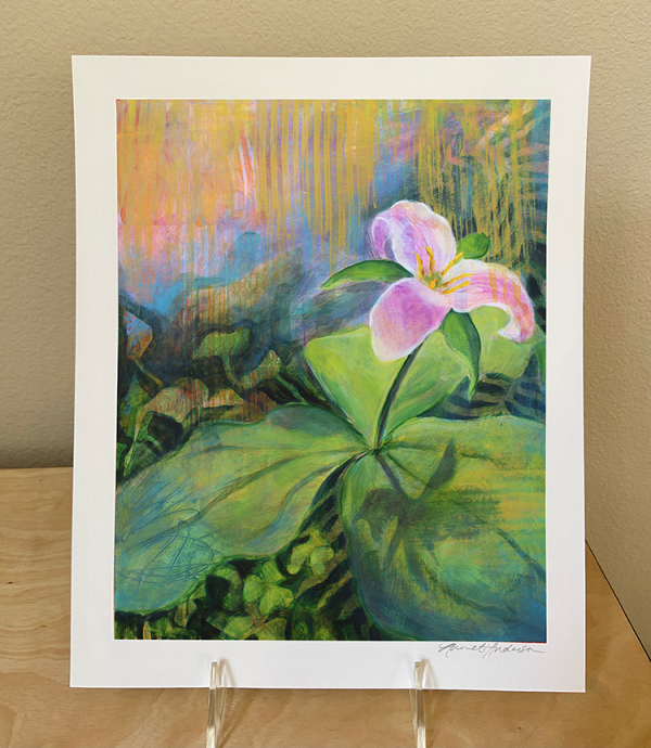 Trillium<br>8"x 10" hand signed print